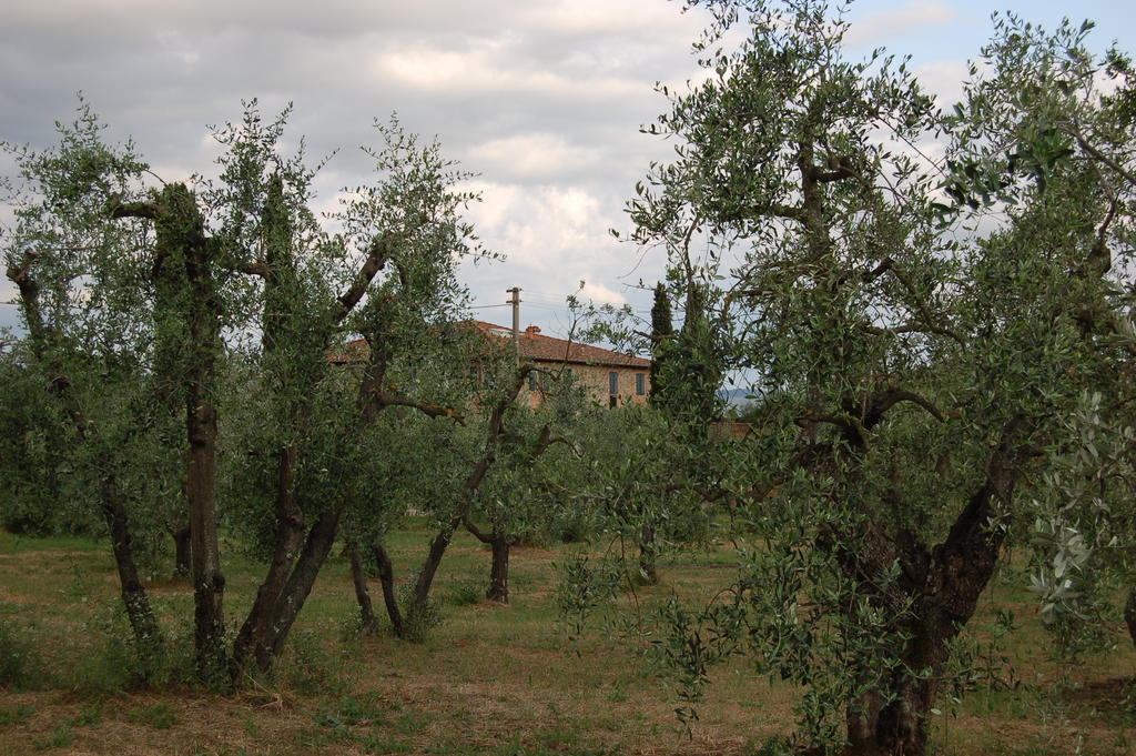 Podere Scaluccia Impruneta Exteriér fotografie